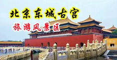 操逼小穴网址中国北京-东城古宫旅游风景区